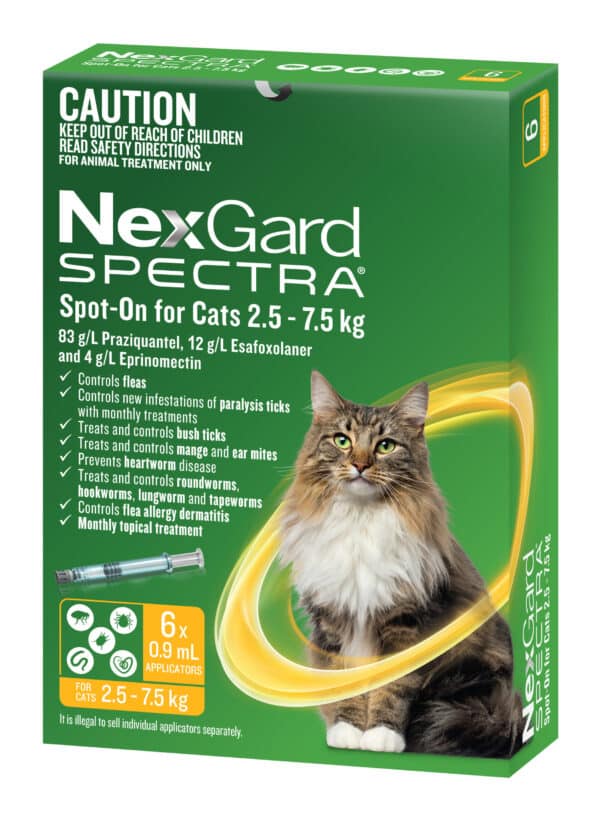 nexgard spectra cat spot on 6 pack for felines