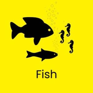 Tonis Pet Station Live fish for sale in store