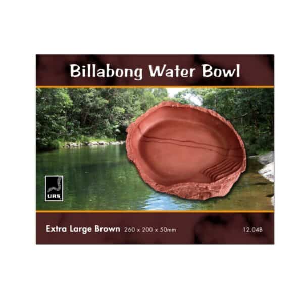 billabong extra large reptile bowl in a brown colour