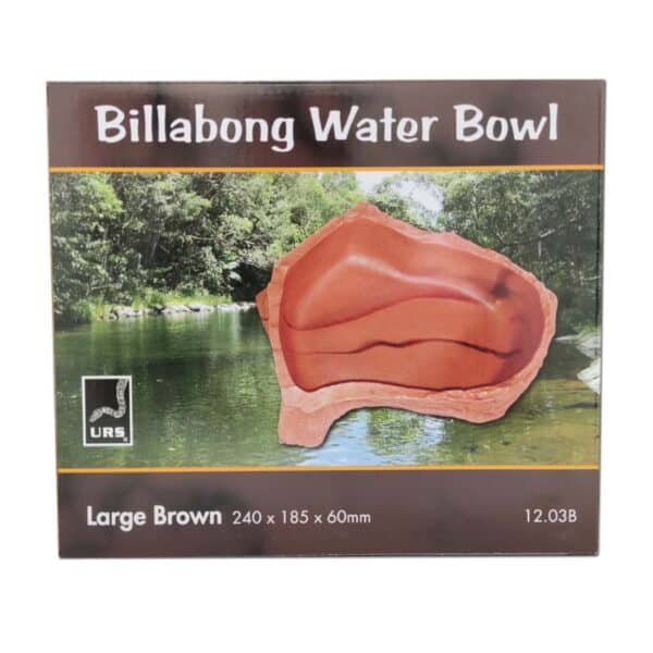 a large brown water bowl for reptiles