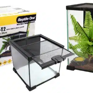 reptile one mini T2 vivarium for insects and other small creatures