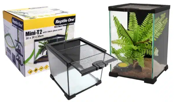 reptile one mini T2 vivarium for insects and other small creatures