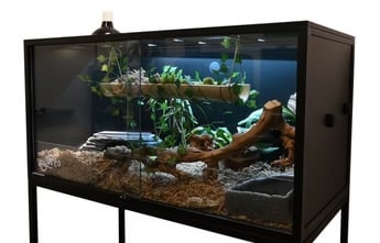snake enclosure setup, not for green tree pythons